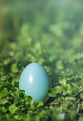 Spring Green Garden and Easter Eggs