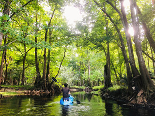 Santa Fe River Ft White Florida Kayak