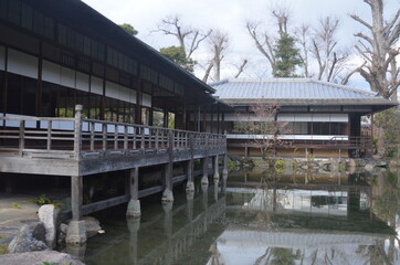 Obraz premium Garden