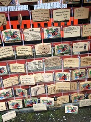 Fototapeta premium Ema