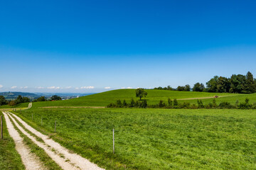 Fototapeta na wymiar Meadow landscape with a blue sky