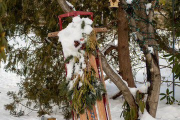 Fototapeta premium snow covered tree