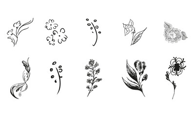 10 hand-drawn blossom wildflowers. Big collection of 10 hand-drawn roses. Big floral botanical set. Isolated on white background. Doodle simple vector collection.