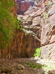 Utah Red Rocks Zion Narrows