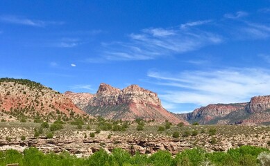 Fototapeta na wymiar Utah Red Rocks Zion