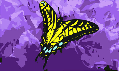 Vector illustration of Black blue and yellow butterfly on a background of purple flowers.
