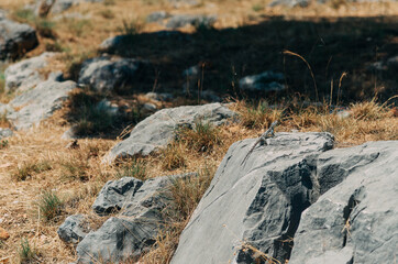 rocks in the mountains