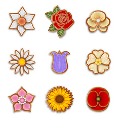 set of isolated flower gingerbread cookies