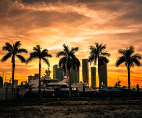 Obraz premium sunset tropical palms sky clouds orange buildings skyscrapers panorama boats marine sand 