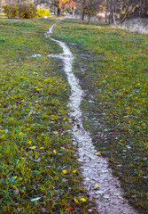 Narrow, uneven, dirty, wet path with puddles in the park, leading forward among autumn grass and fallen leaves
