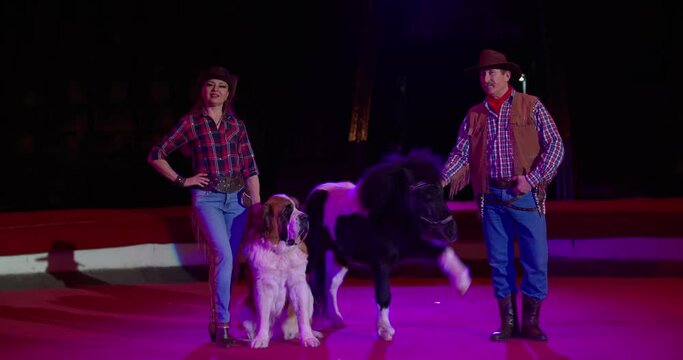 Trainers and their animals on stage of the circus, dog and a pony, cute, 4k