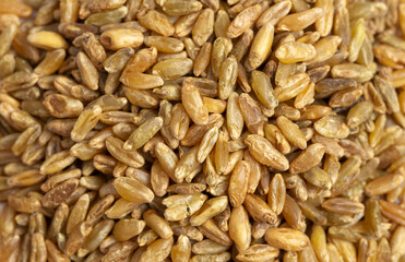 Background of Freekeh Grain