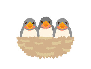 つばめ4　ツバメ　燕