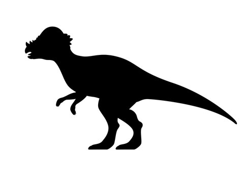 Vector pachycephalosaurus silhouette