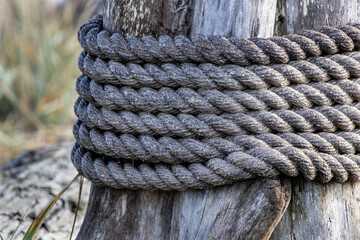 Fototapeta na wymiar nautical rope wrapped on tree stump