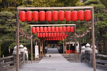 the scene of the precincts of a Japanese shrine.