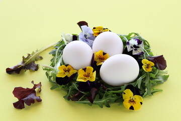 A nest from salad leaves and flowers with white eggs in it. Closeup, on yellow background.