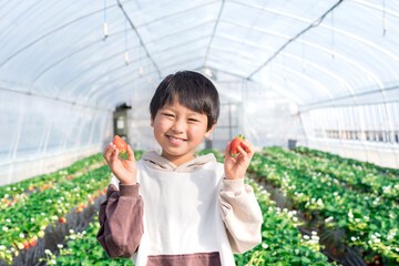 笑顔でいちごを持つ男の子