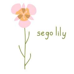 Sego lily vector flower