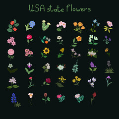 USA state flowers