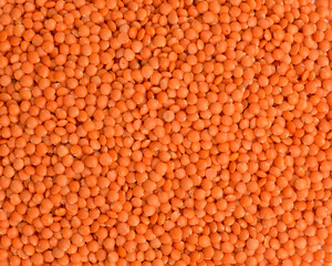 red lentils background