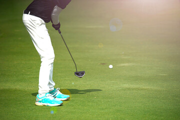 Fototapeta premium golfer putting a ball into the hole