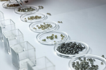 The sorted diamonds are in glass cups. The result of manual sorting of diamonds by weight and quality