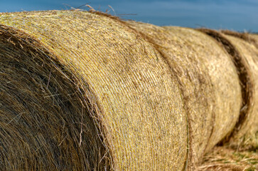 The straw bales.