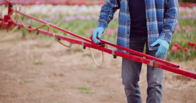Farmer Working with Tractor at Agricultural Farm Flower Plantation