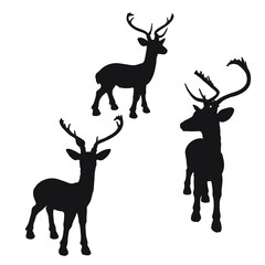 Vector illustration of deer cartoon on white background - 412755148