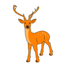 Vector illustration of deer cartoon on white background - 412755305