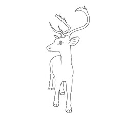 Vector illustration of deer cartoon on white background - 412755351