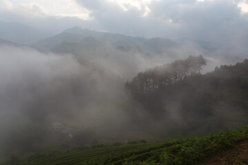 Terraced rice paddy field landscape of Mu Cang Chai, Yenbai, Northern Vietnam