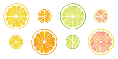 柑橘輪切りセット