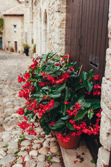 Red flowers flowerpot near door in old stone buildings in Perouges, France