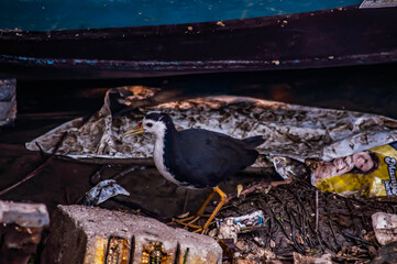 fire in the fireplace