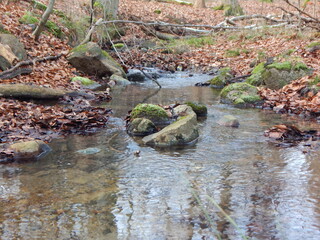 river in the park