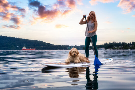 Girl with a dog on a paddle board during a vibrant summer sunset. Taken in Deep Cove, North Vancouver, BC, Canada. Colorful Art Render