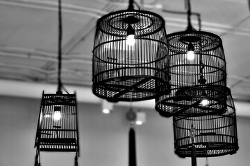 Wooden bird cage lamp hanging.