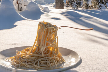 Funny gimmick of completely frozen cooked pasta sitting outside in arctic -40 temp with fork...