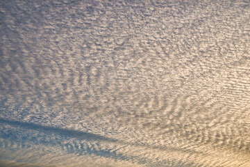 都会の空に広がるイワシ雲