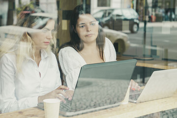 Pretty concentrated women working indoors behind window. Blonde and brunette ladies using laptops, sitting at table and looking at screen. Communication, digital technology and teamwork concept