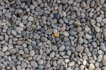 Sea stones background. Colorful small pebbles or stone in garden. Flat lay of sea stones texture...