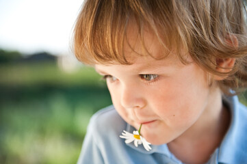 Cute preschool boy in a blue shirt.