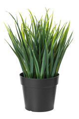 Decorative plastic grass in a plastic black pot isolated on white