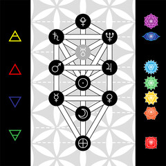 Tree of life with astrological symbols of planets, chakras and elements on background of flower of life - 412778997