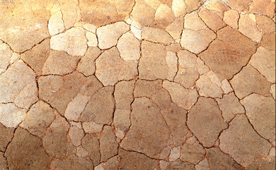 Desert cracked earth