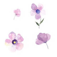 Paint set of hand-drawn watercolor violet flowers on a white background. Use for menus, invitations, wedding