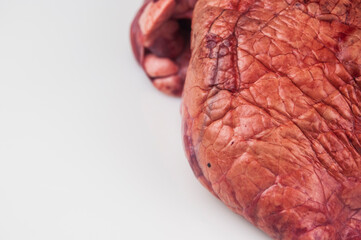Raw beef lungs on white backgroundю Top view