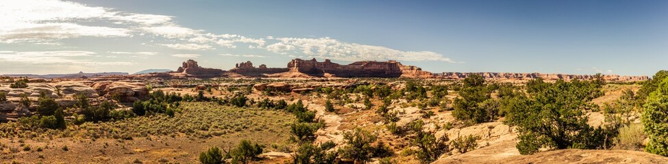 Panorama shot american nature and bushes in canyonlands antional park at sunny day in Utah